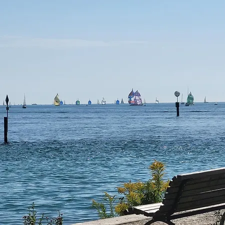 Stachel B * Konstanz