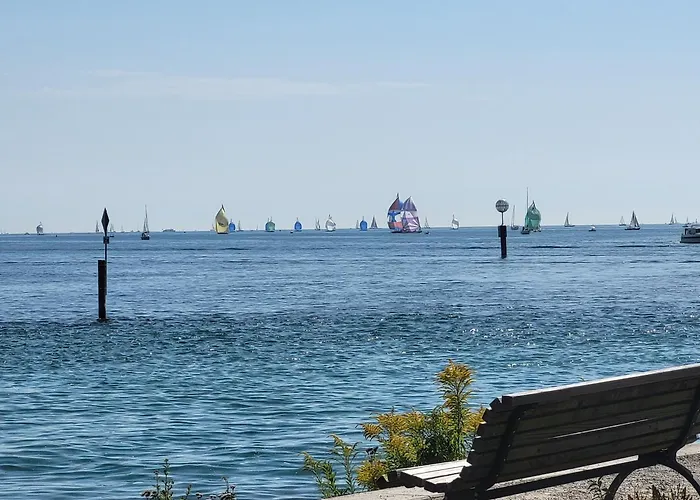 Stachel B * Konstanz