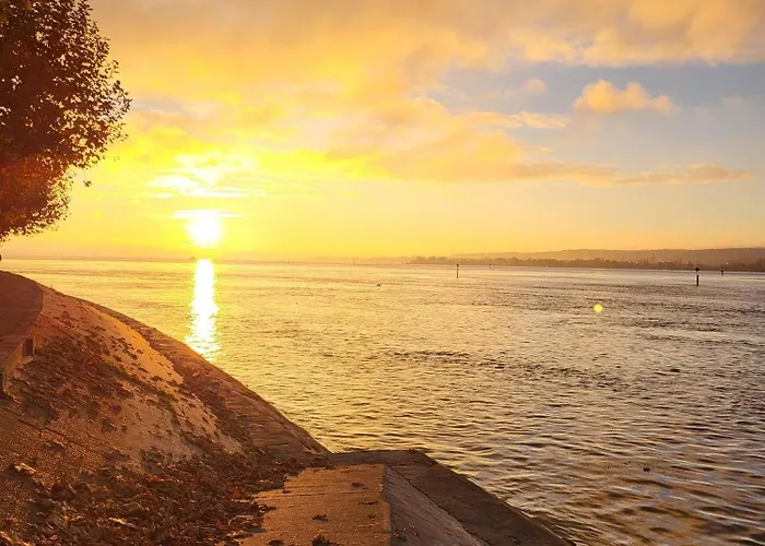 Stachel B * Konstanz