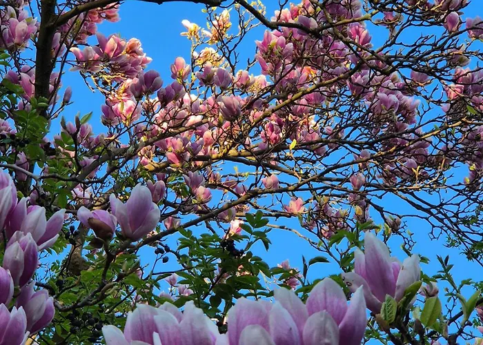 Stachel B Apartment Konstanz